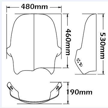 Voorruit Adventure type voor BMW R 1150 GS (00-03), licht getint