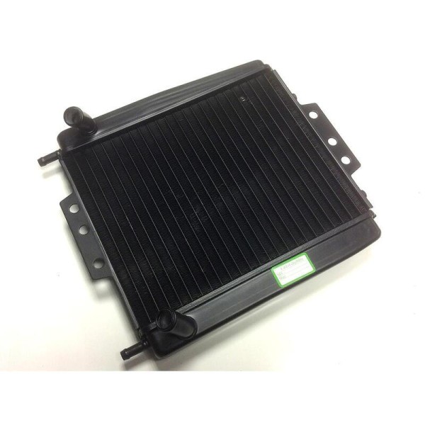 BIHR Waterkoeler - Piaggio MP3 125 - 500