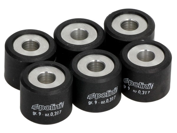 Polini variator rollenset, 20x17 mm, 9,0 g, stuk: 6