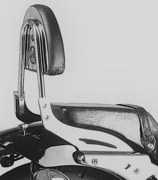 Sissybar zonder bagagerek chroom voor Honda VT 750 DC Black Widow (00-03) Hepco & Becker