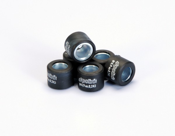 Polini variator rollenset, 21x17 mm, 9,5 g, stuk: 6
