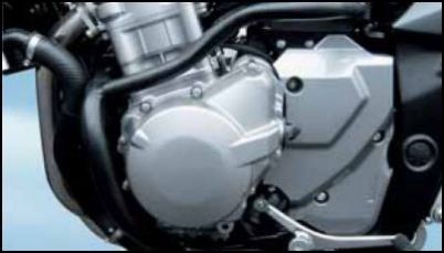 Motorbeschermer voor Suzuki GSF650 BJ. 2007-2008