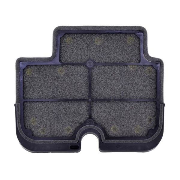 Tecnium luchtfilter - 110290011