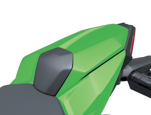 Passagiersstoelhoes (Candy Lime Green) voor Kawasaki Z 650 S (26-) Origineel