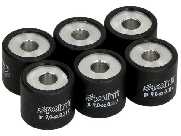Polini variator rollenset, 19x17 mm, 9,0 g, stuk: 6