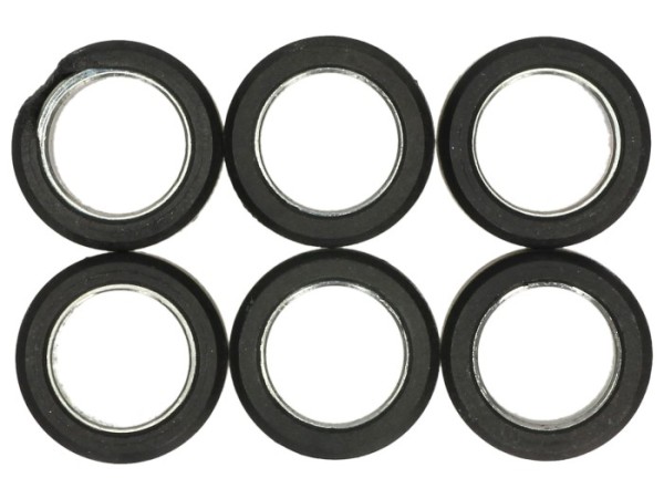 Polini variator rollenset, 20x17 mm, 10,0 g, stuk: 6