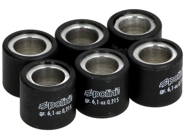 Polini variator rollenset, 19x17 mm, 6,0 g, stuk: 6