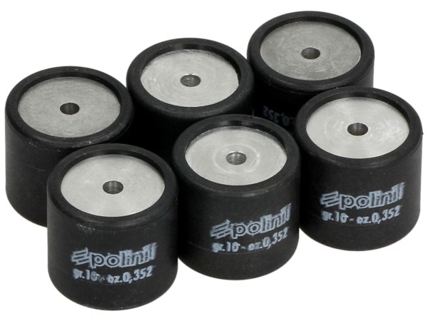 Polini variator rollenset, 19x17 mm, 10,0 g, stuk: 6