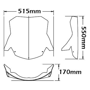 Windscherm "Giant" voor BMW F 800 ST (06-12), helder