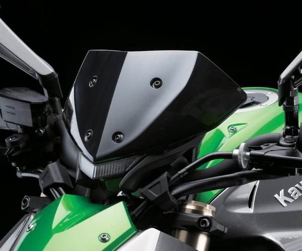 Voorruit getinte Z1000 van 2014 Originele Kawaski