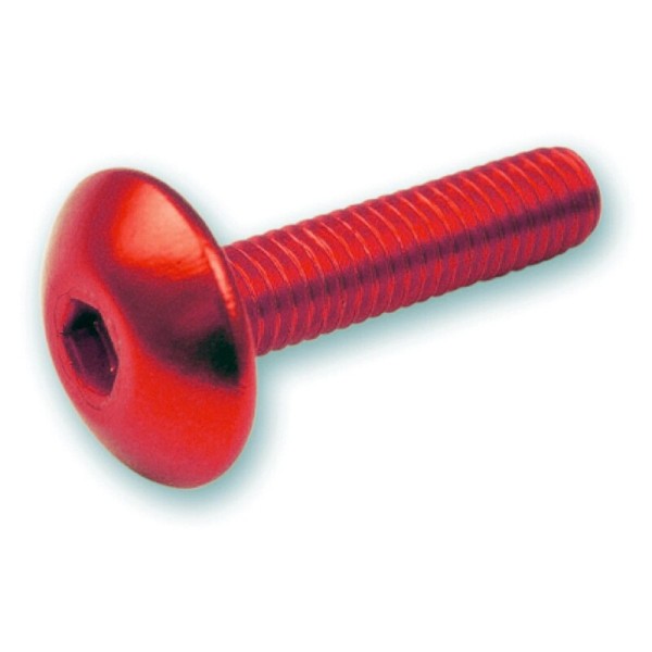 V ONDERDELEN schroef inbus M6x15 Rood