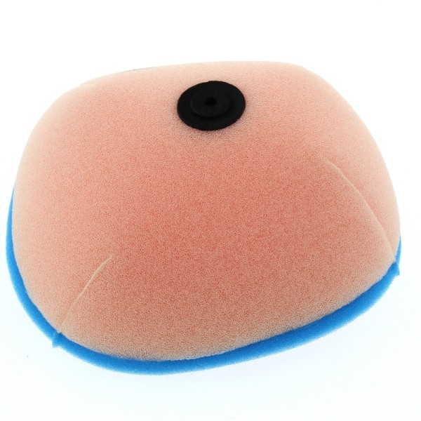 Tecnium luchtfilter 2 lagen - 0236