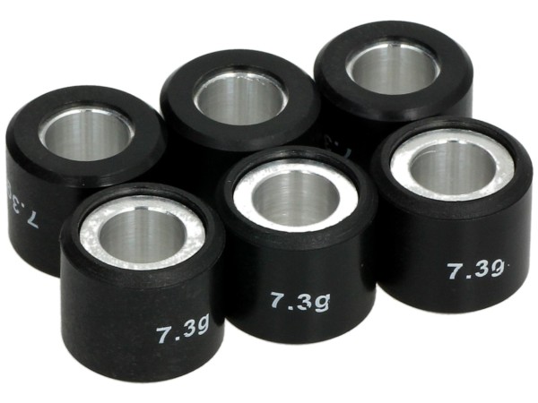 Sceed42 variator rollenset, 19x17 mm, 7,3 g, stuk: 6