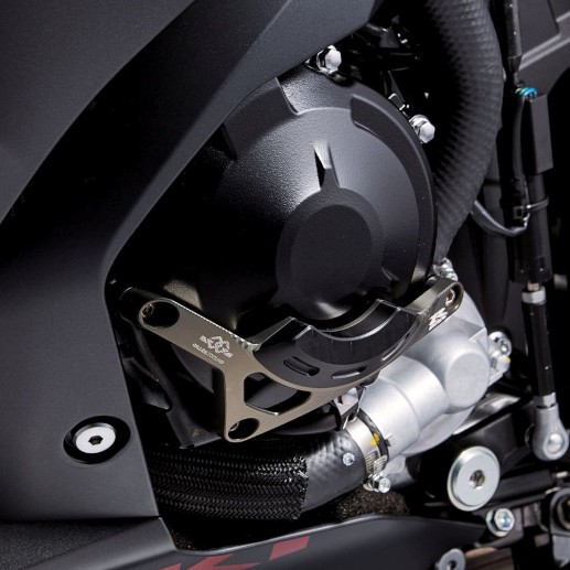 Dynamo beschermkap voor Suzuki GSX-R 1000 (17-) Origineel