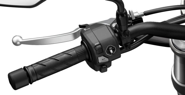 Gripverwarming voor Honda CB 1000 F (26-) Origineel