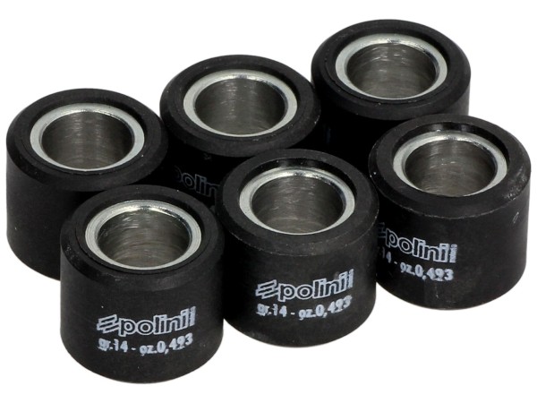 Polini variator rollenset, 20x17 mm, 14,0 g, stuk: 6