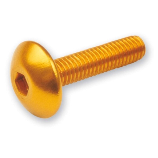 V ONDERDELEN Schroef inbus M6x20 Goud